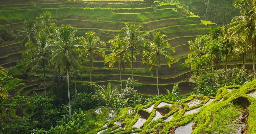 Amazing Bali