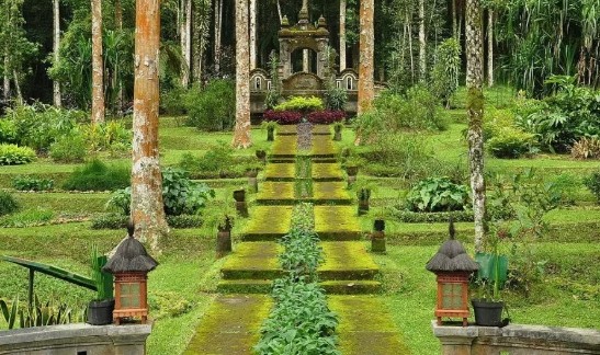 Amazing Bali