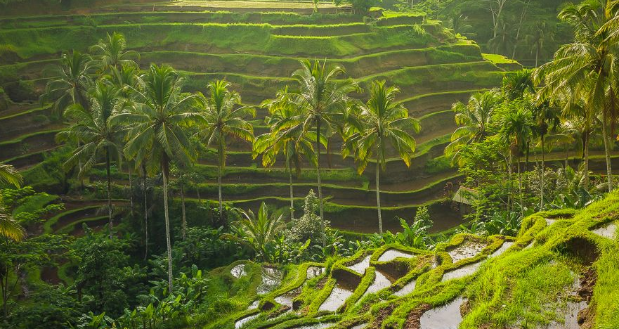Travel Creationz holiday destination